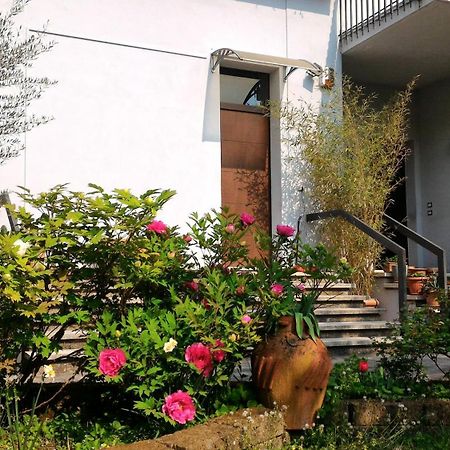 B&B Il Melograno Mantua Zewnętrze zdjęcie